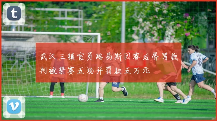 武汉三镇官员路易斯因赛后辱骂裁判被禁赛五场并罚款五万元